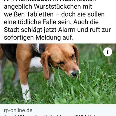 Giftköder-Giftköder Hühnerbach-Bild