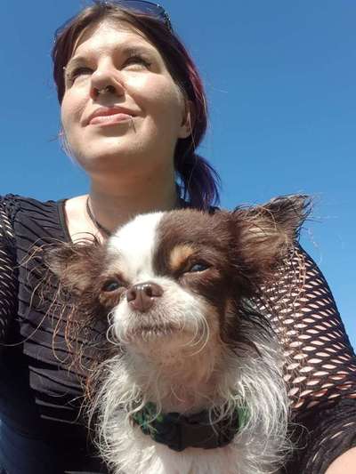 Die Ähnlichkeit zum Hund-Beitrag-Bild