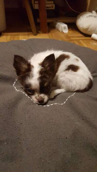 Vorher.... Nachher-Beitrag-Bild