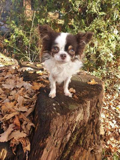 Vorher.... Nachher-Beitrag-Bild