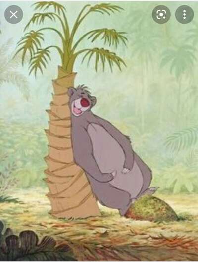 Wie heißt dein Hund?-Beitrag-Bild