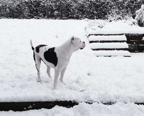 Foto-Challenge 76: Foto in Schwarz-Weiss-Beitrag-Bild