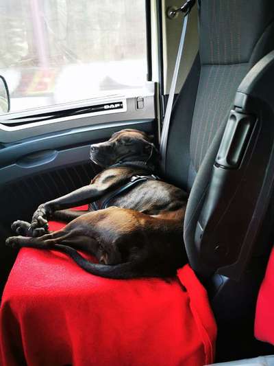 Die unbequemsten und lustigsten Schlafpositionen-Beitrag-Bild