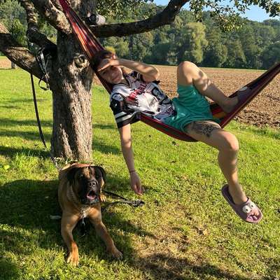 Hundetreffen-Laufen und kennenlernen