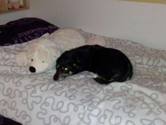 FOTO-Challenge  NR. 91: Die pure Entspannung-Beitrag-Bild