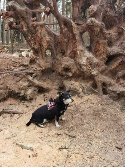 Foto Challenge Nr. 79-Beitrag-Bild