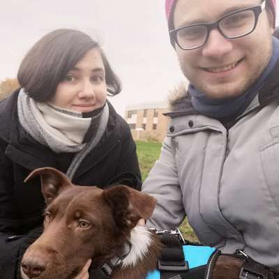 Hundetreffen-Spielrunde-Profilbild