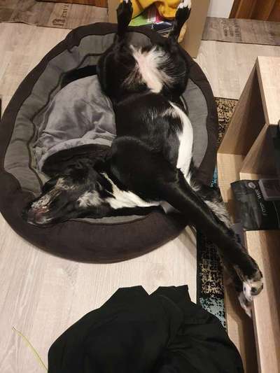 Schlafzeit!💖-Beitrag-Bild