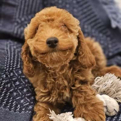 Paulina's Profilbild