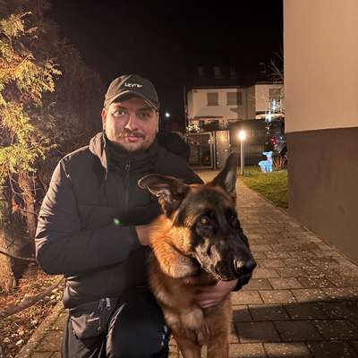 Hundetreffen-Gemeinsame Gassirunde zum üben-Profilbild