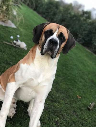 Fotochallange Nr. 57     PORTRÄT.   Beendet!!!!!!!!-Beitrag-Bild