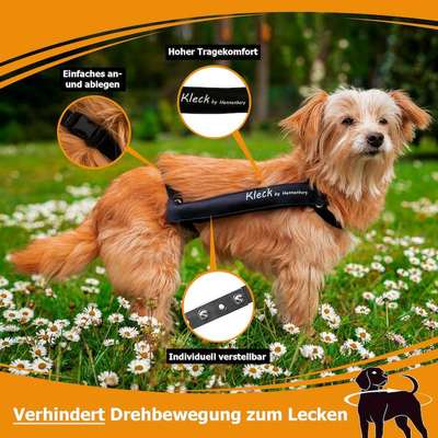 Kastrationswunde-Beitrag-Bild