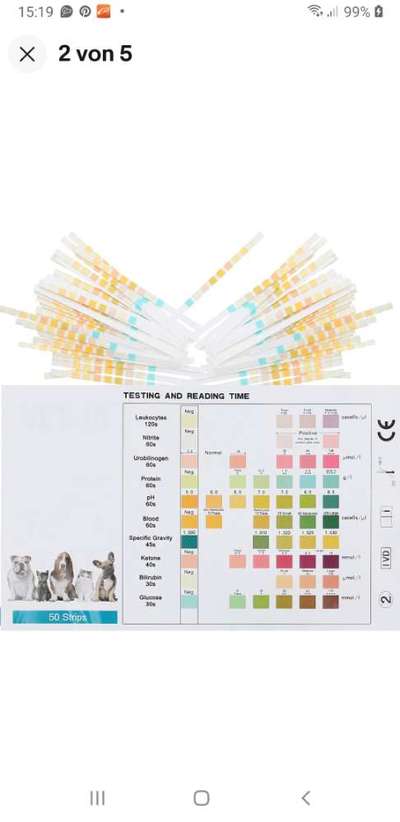 Teststreifen Urin-Beitrag-Bild