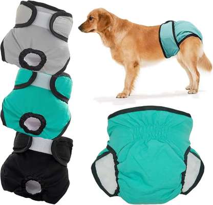 Windeln/hosen für Rüden bei Kotabsatz-Beitrag-Bild