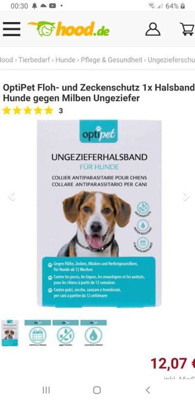 Grasmilben Hausmittel?-Beitrag-Bild