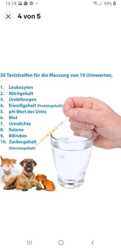 Teststreifen Urin-Beitrag-Bild