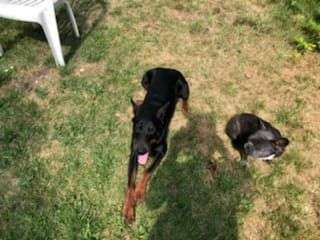 Vorher.... Nachher-Beitrag-Bild