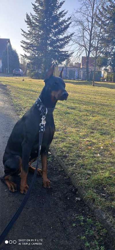 Vorher.... Nachher-Beitrag-Bild