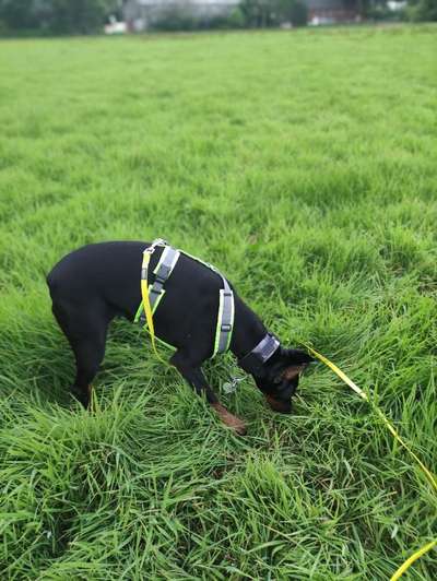 42.Fotochallenge - Eure schönen Momente beim Spaziergang-Beitrag-Bild