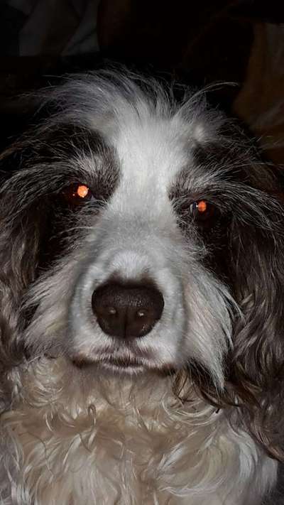 Fotochallange Nr. 57     PORTRÄT.   Beendet!!!!!!!!-Beitrag-Bild