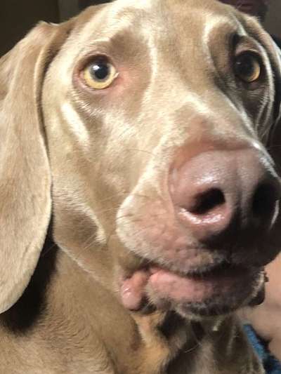 Vorher.... Nachher-Beitrag-Bild