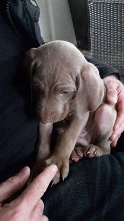 Vorher.... Nachher-Beitrag-Bild