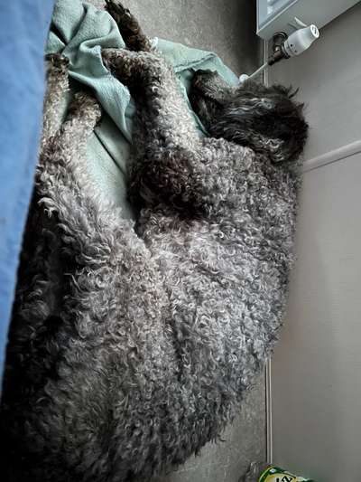 Schlafzeit!💖-Beitrag-Bild