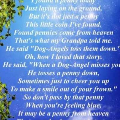 Freddys Kummerkasten-Beitrag-Bild