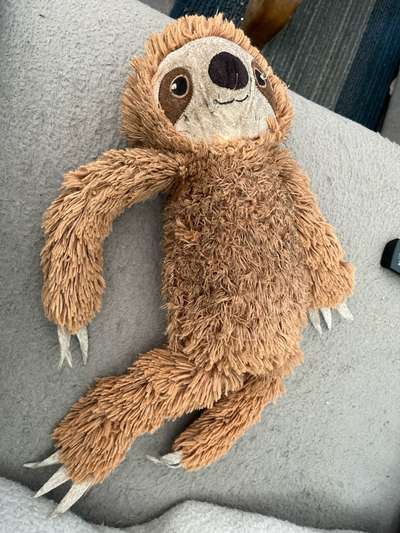 Freddys Kummerkasten-Beitrag-Bild