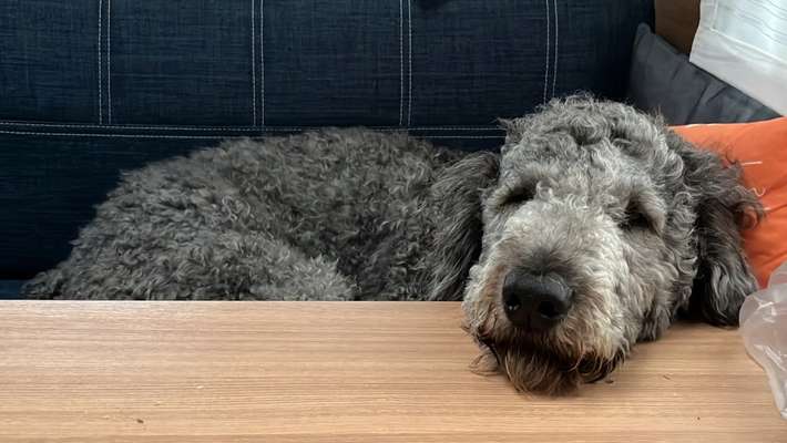 FOTO-Challenge  NR. 91: Die pure Entspannung-Beitrag-Bild