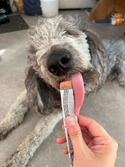 Tongue Out Tuesday-Beitrag-Bild