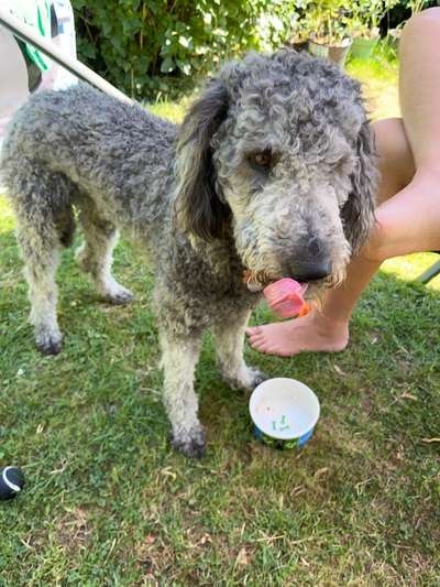 Tongue Out Tuesday-Beitrag-Bild