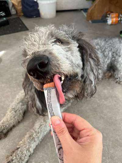 Tongue Out Tuesday-Beitrag-Bild