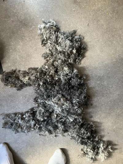 Hier ist der Spaßthread. Zum Schmunzeln und Kaputtlachen-Beitrag-Bild