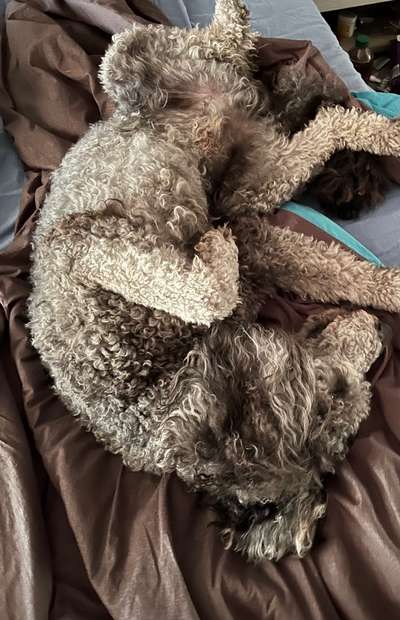 Die unbequemsten und lustigsten Schlafpositionen-Beitrag-Bild