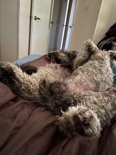 Die unbequemsten und lustigsten Schlafpositionen-Beitrag-Bild