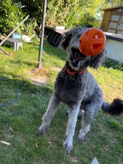 LUSTIGE FOTOS! WER KANN MITHALTEN?-Beitrag-Bild