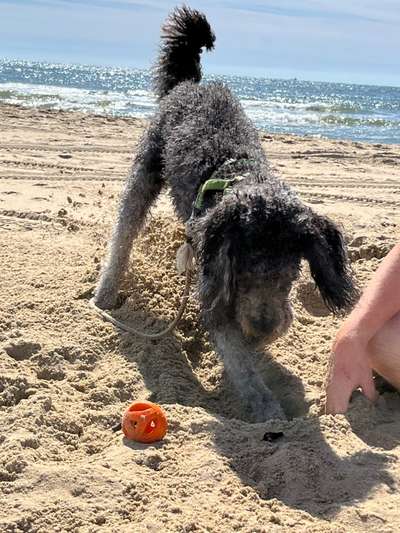 Theos Fotochallange Nummer 4-Beitrag-Bild