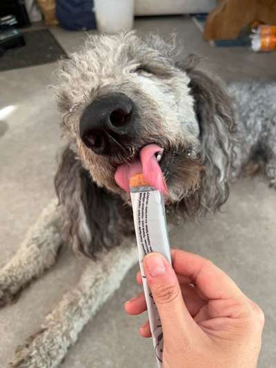 Tongue Out Tuesday-Beitrag-Bild