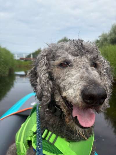 Freddys Kummerkasten-Beitrag-Bild