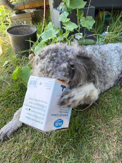 LUSTIGE FOTOS! WER KANN MITHALTEN?-Beitrag-Bild