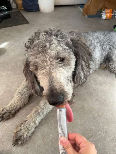 Tongue Out Tuesday-Beitrag-Bild