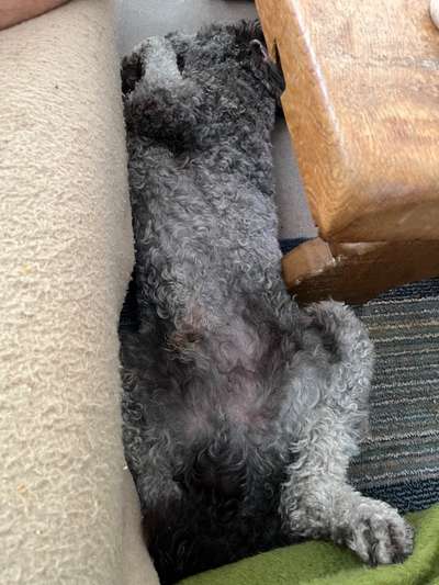 Die unbequemsten und lustigsten Schlafpositionen-Beitrag-Bild