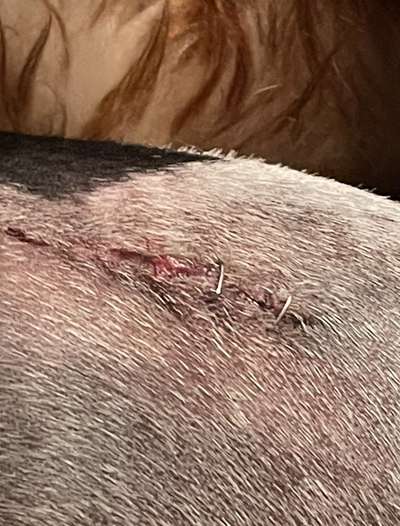 Was hat euch heute genervt?-Beitrag-Bild