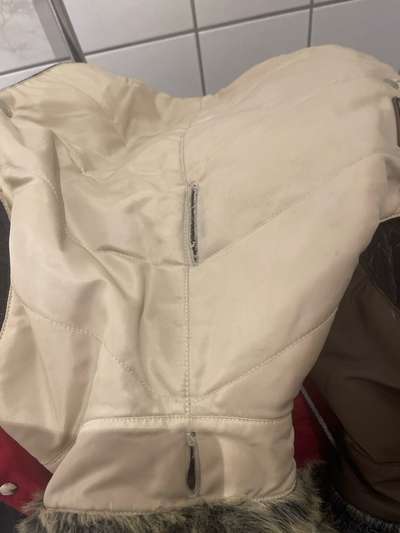 Geschirr über Regenmantel/Wintermantel-Beitrag-Bild