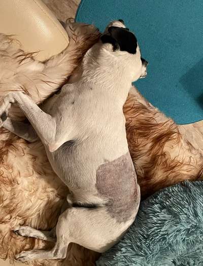 Was hat euch heute genervt?-Beitrag-Bild