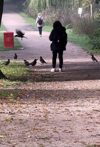 Was hat euch heute genervt?-Beitrag-Bild