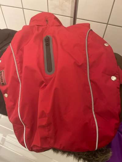 Geschirr über Regenmantel/Wintermantel-Beitrag-Bild