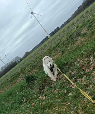 Farben Fotochallenge Thema ,,Grün"-Beitrag-Bild