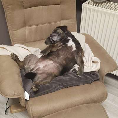 Die unbequemsten und lustigsten Schlafpositionen-Beitrag-Bild